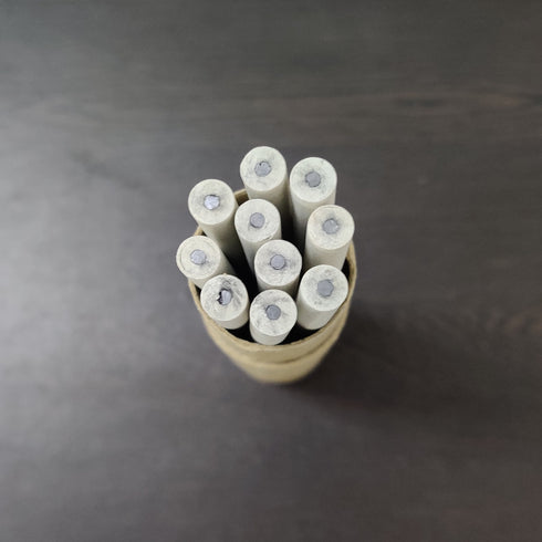 Plantable Recycled Paper Pencil - Pack of 10